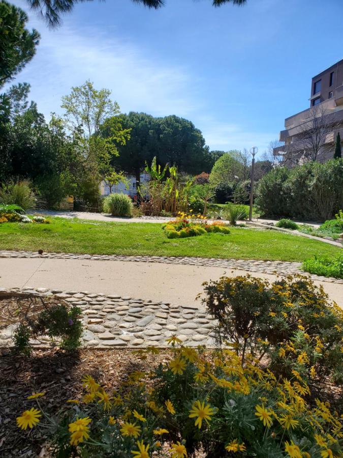 Le Grenier, Climatisation Terrasse Wi-Fi Netflix 15 Mn Coeur De Ville Béziers Kültér fotó